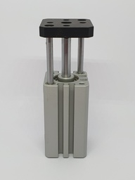 Non-ISO Compact Twin Guide Cylinders - MCGA